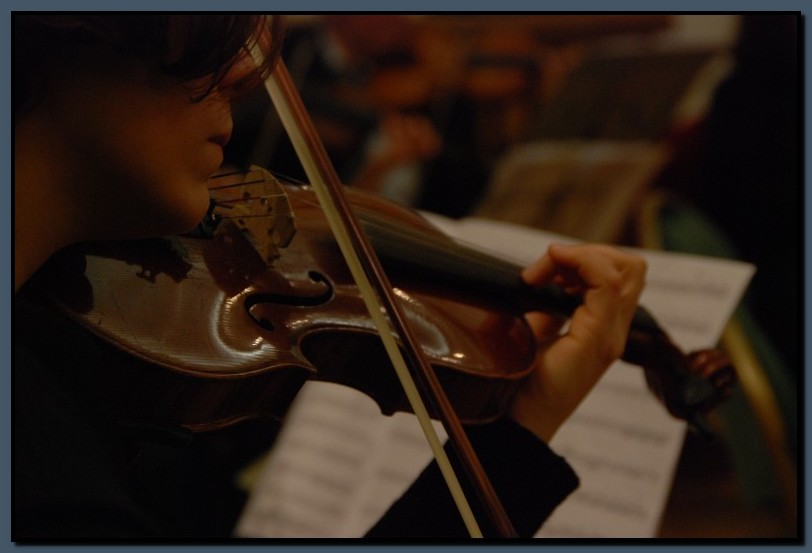 DSC_0107-cimi-2009-10-25.jpg (61,3 KB)