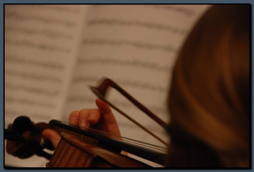 DSC_0109-cimi-2009-10-25.jpg (53,0 KB)