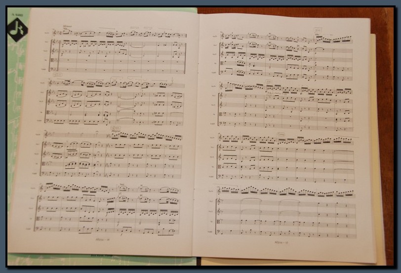 DSC_0130-cimi-2009-10-25.jpg (105 KB)