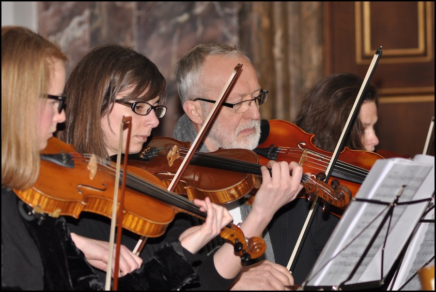 11-DSC_0924.JPG (131 KB)