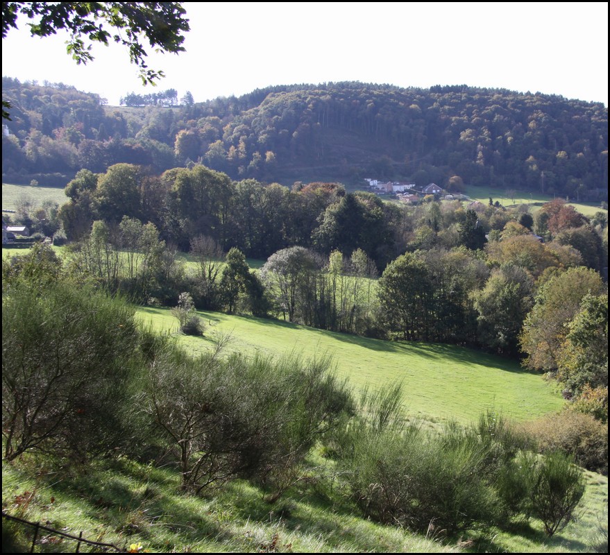 01_IMG_2507.JPG (249 KB)