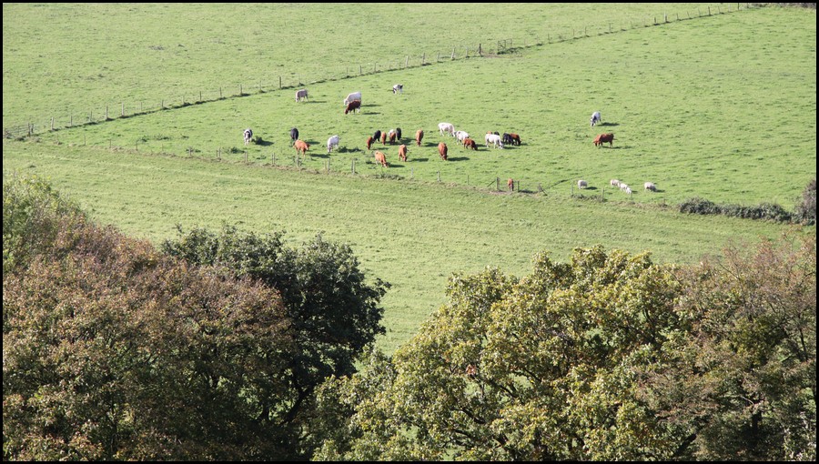 02_IMG_2508.JPG (219 KB)