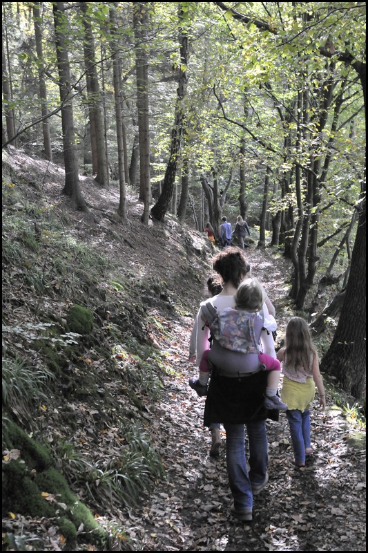 03__DSC7789.JPG (213 KB)