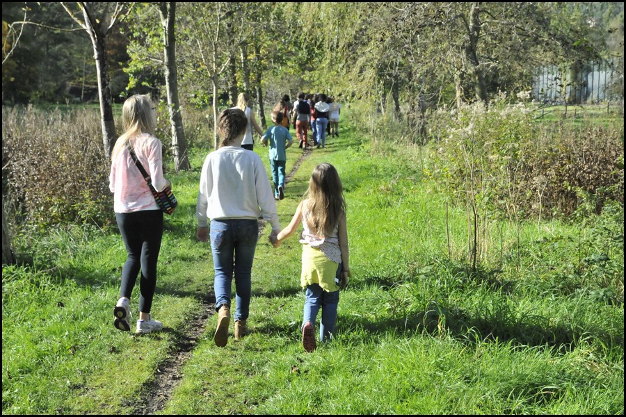 24__DSC7805.JPG (275 KB)