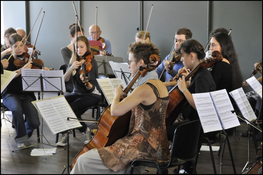 96__DSC7990.JPG (139 KB)