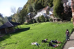 44_IMG_2551.JPG(227 KB)