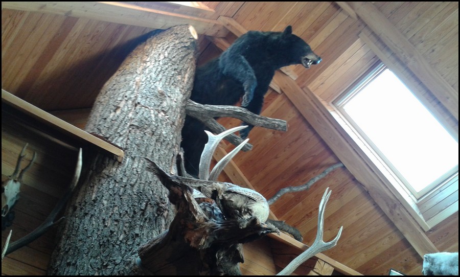 005-20140723_100119.jpg (133 KB)