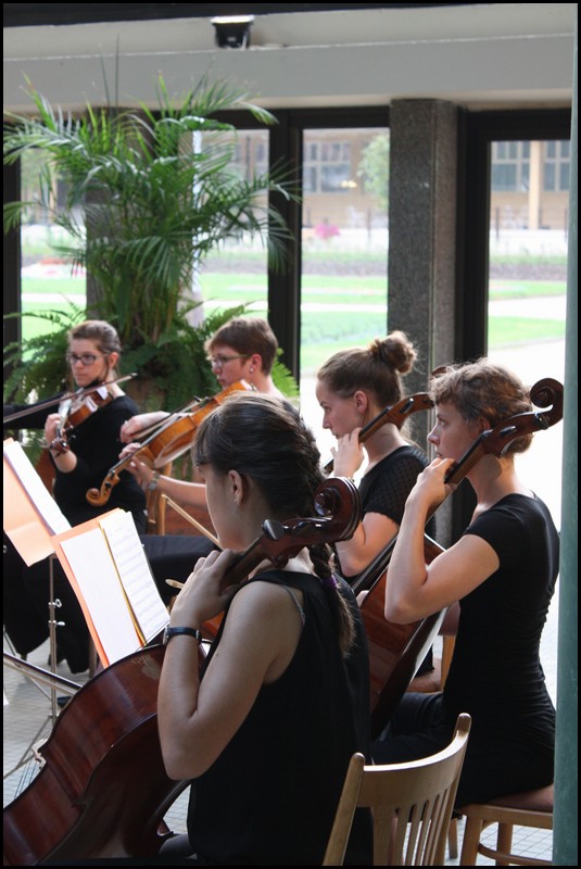 051-101-IMG_3748.JPG (105 KB)