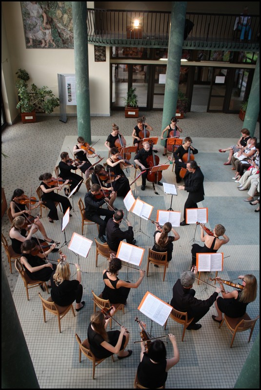 051-101-IMG_3752.JPG (142 KB)