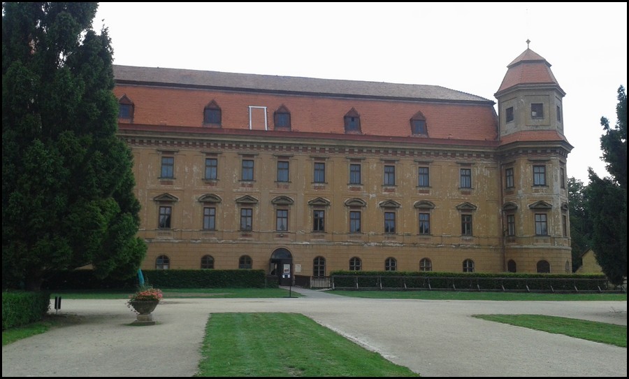 097-20140723_171713.jpg (108 KB)