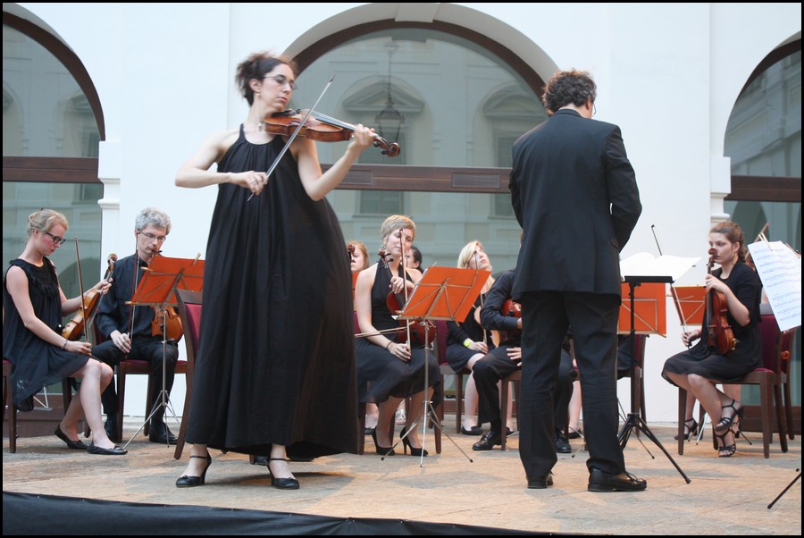 101-IMG_3869.JPG (125 KB)