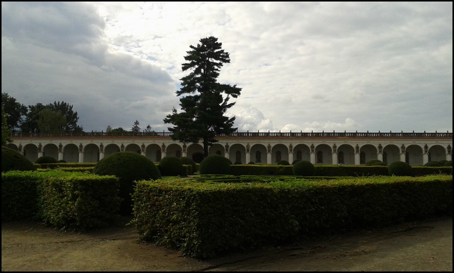 151-20140724_171531.jpg (107 KB)