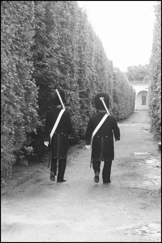 151-IMG_3920.JPG (122 KB)