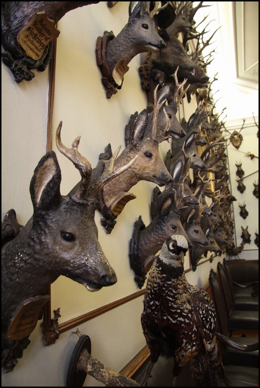 200-IMG_2259.JPG (120 KB)