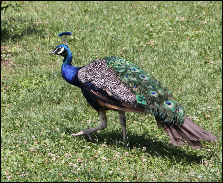 200-IMG_2279.JPG (312 KB)