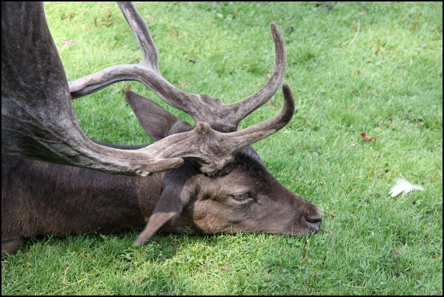 200-IMG_2309.JPG (200 KB)