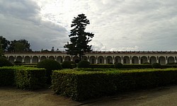 151-20140724_171531.jpg(107 KB)