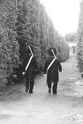 151-IMG_3920.JPG(122 KB)