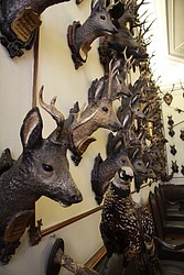 200-IMG_2259.JPG(120 KB)