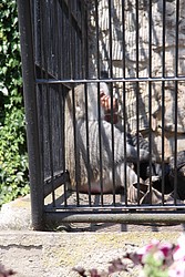 200-IMG_2265.JPG(149 KB)