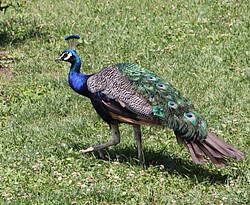 200-IMG_2279.JPG(312 KB)