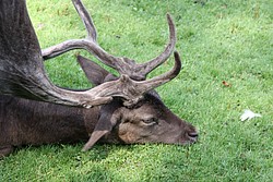 200-IMG_2309.JPG(200 KB)