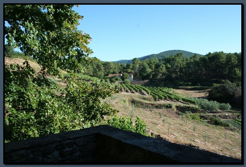 IMG_8117.jpg (169 KB)