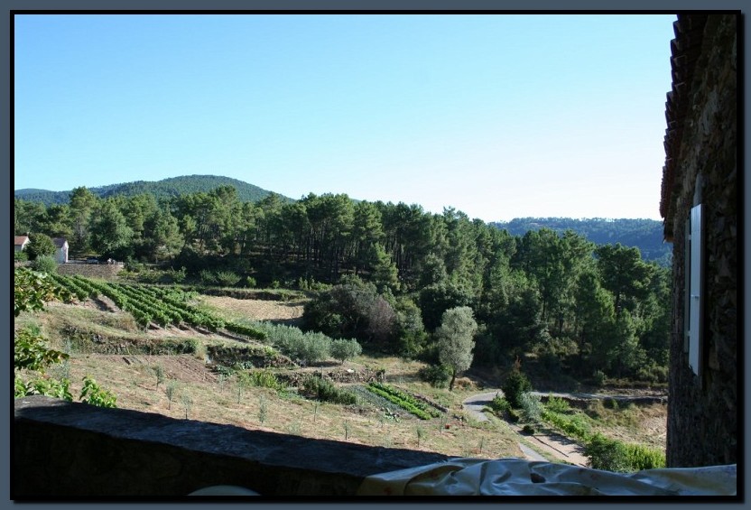 IMG_8131.jpg (128 KB)