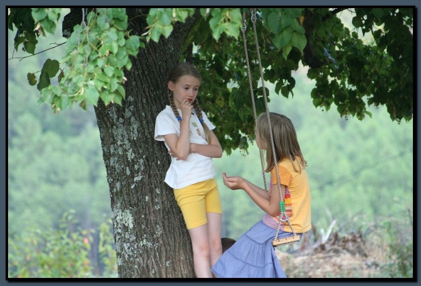 IMG_8268.jpg (124 KB)