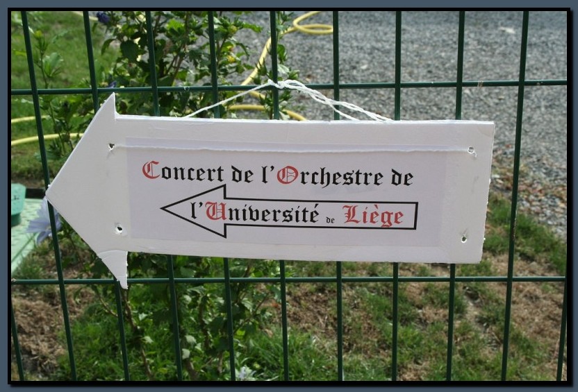 IMG_8309.jpg (134 KB)