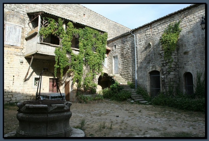 IMG_8317.jpg (174 KB)