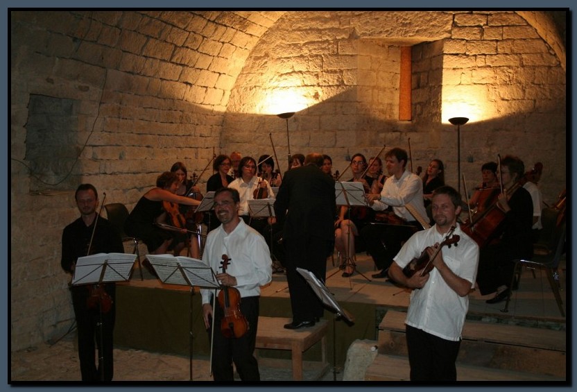 IMG_8364.jpg (116 KB)