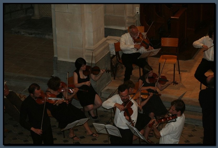 IMG_8401.jpg (86,1 KB)