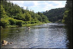 IMG_6599.jpg(170 KB)