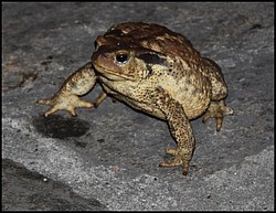 IMG_6731.jpg(122 KB)