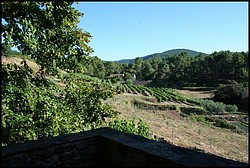 IMG_8117.jpg(169 KB)