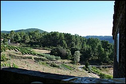 IMG_8131.jpg(128 KB)