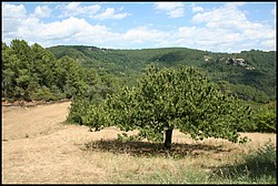 IMG_8142.jpg(173 KB)