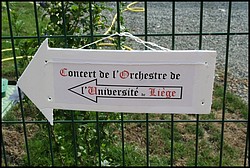 IMG_8309.jpg(134 KB)