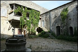 IMG_8317.jpg(174 KB)