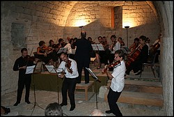 IMG_8362.jpg(120 KB)