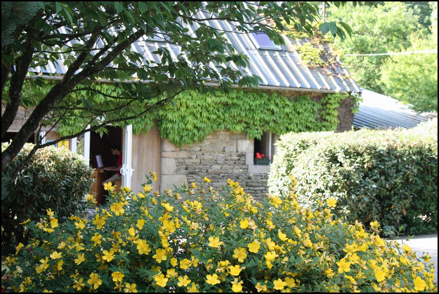 004_IMG_2507.JPG (256 KB)