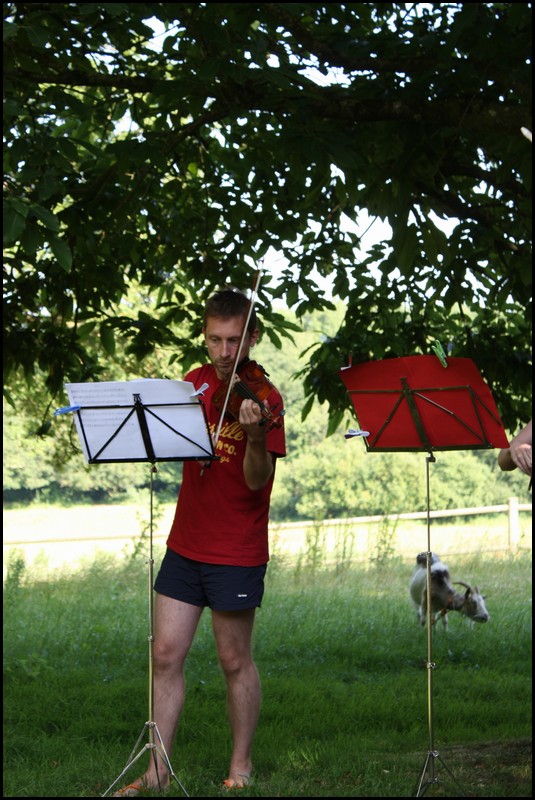 009_IMG_2525.jpg (144 KB)