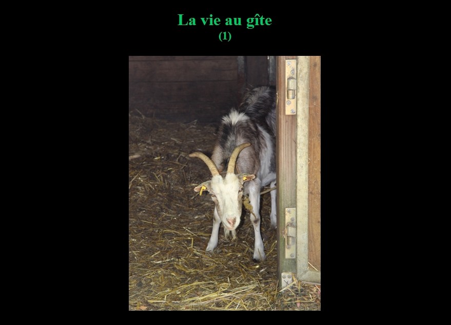 020_000.jpg (70.9 KB)