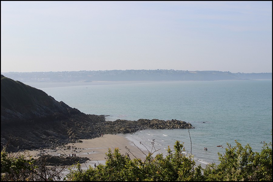 073_IMG_1866.jpg (123 KB)