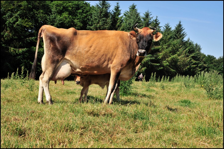 102_DSC4395.jpg (247 KB)