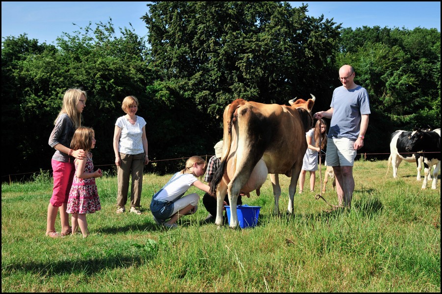 103_DSC4370.jpg (254 KB)