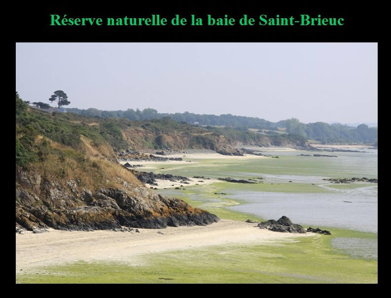 171_000.jpg (97.7 KB)