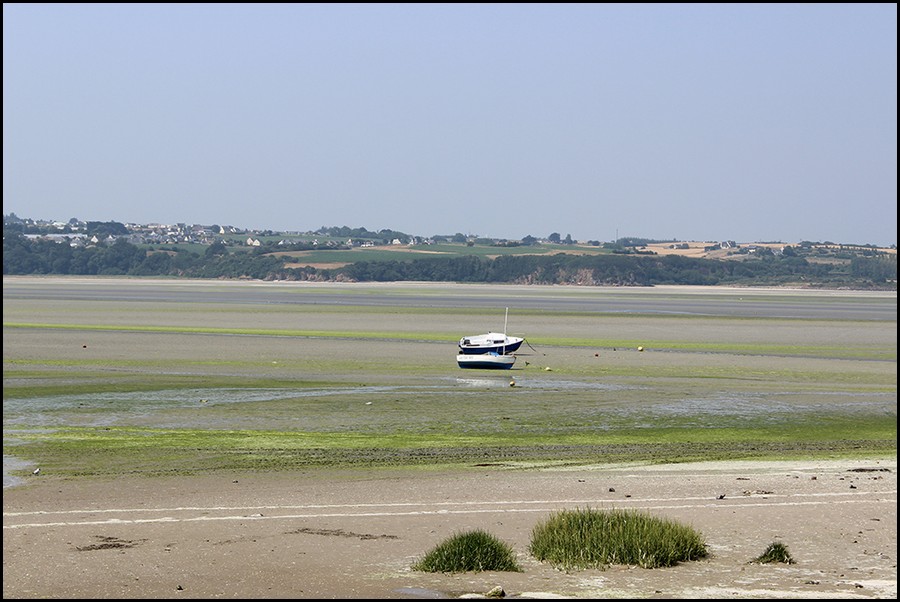 191_IMG_2019.jpg (126 KB)