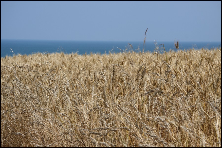 194_IMG_0803.JPG (196 KB)